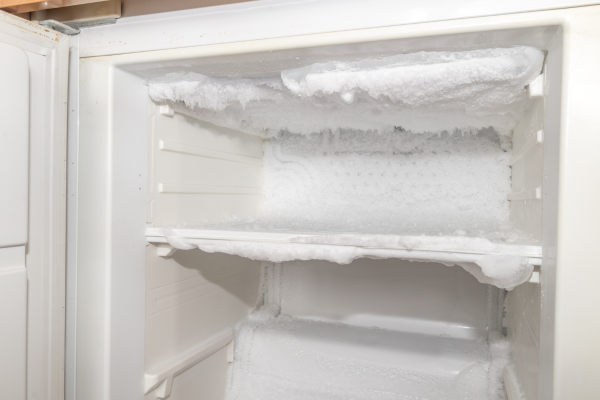 how many years does a freezer last?