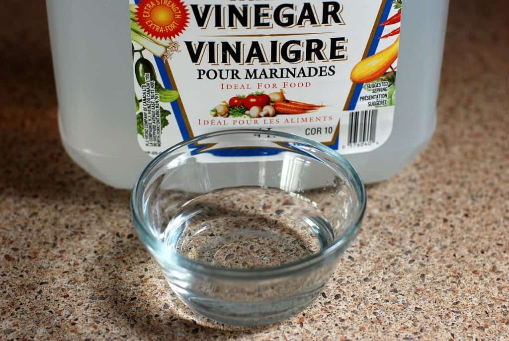 a cup of vinegar to deep clean the dishwasher